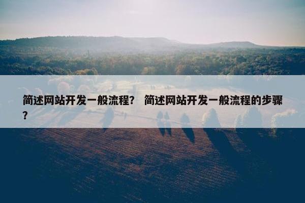 简述网站开发一般流程？ 简述网站开发一般流程的步骤？