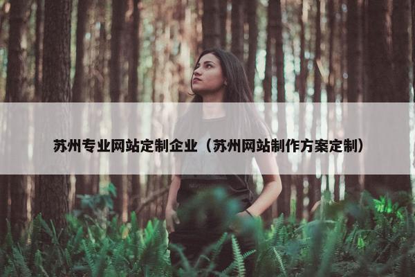 苏州专业网站定制企业（苏州网站制作方案定制）