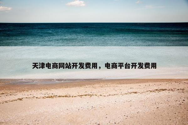 天津电商网站开发费用，电商平台开发费用