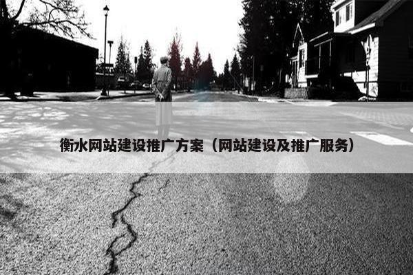 衡水网站建设推广方案（网站建设及推广服务）