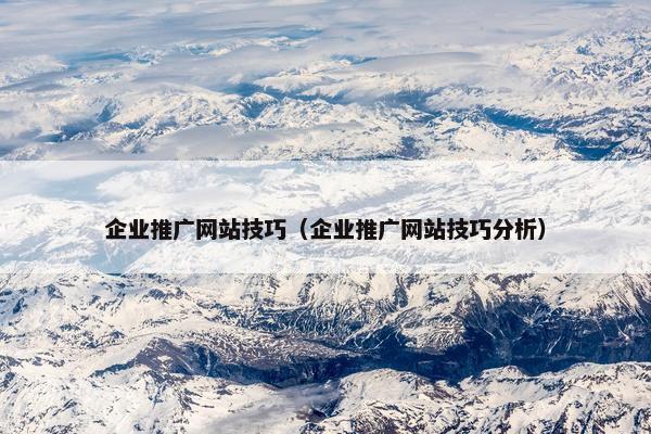 企业推广网站技巧（企业推广网站技巧分析）