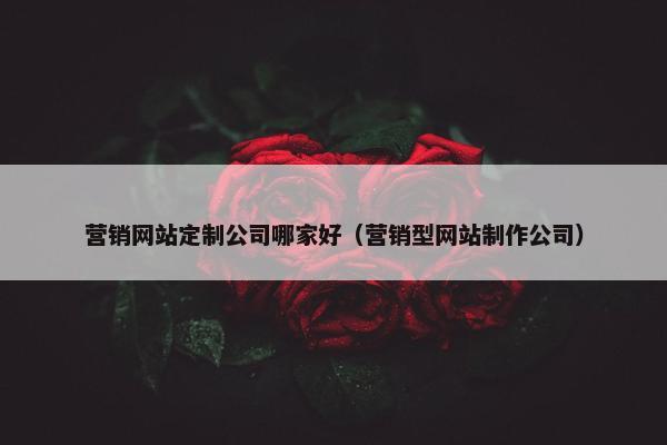 营销网站定制公司哪家好（营销型网站制作公司）