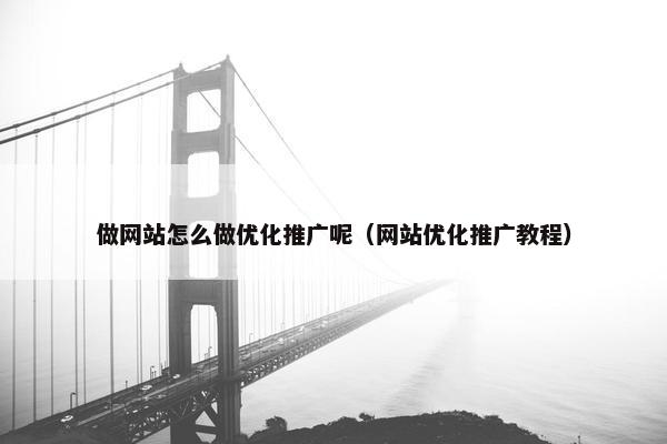 做网站怎么做优化推广呢（网站优化推广教程）