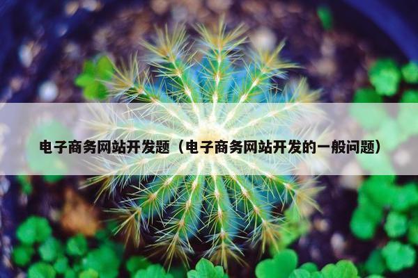 电子商务网站开发题（电子商务网站开发的一般问题）