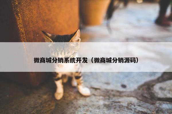 微商城分销系统开发（微商城分销源码）