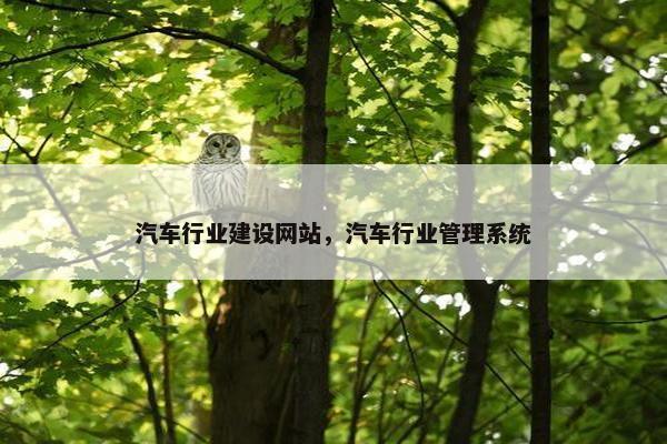 汽车行业建设网站，汽车行业管理系统