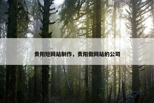 贵阳短网站制作，贵阳做网站的公司