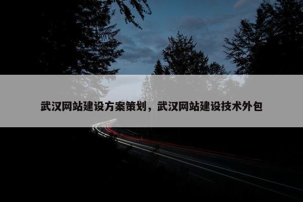 武汉网站建设方案策划，武汉网站建设技术外包