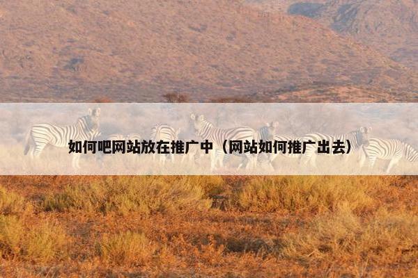 如何吧网站放在推广中（网站如何推广出去）