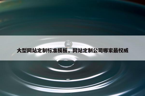 大型网站定制标准模板，网站定制公司哪家最权威