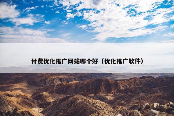 付费优化推广网站哪个好（优化推广软件）