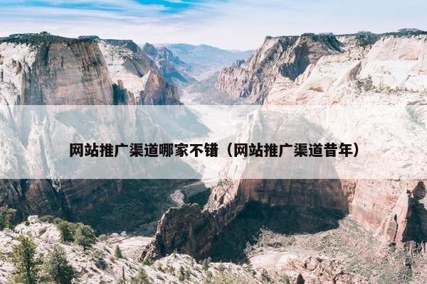 网站推广渠道哪家不错（网站推广渠道昔年）