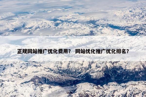 正规网站推广优化费用？ 网站优化推广优化排名？