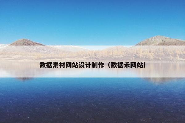 数据素材网站设计制作（数据禾网站）