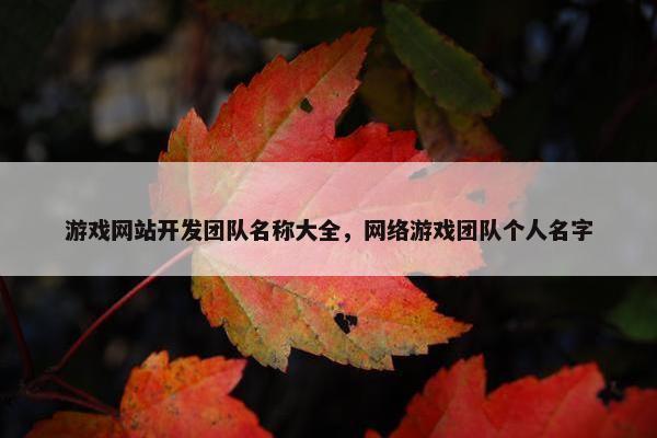 游戏网站开发团队名称大全，网络游戏团队个人名字