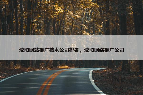 沈阳网站推广技术公司排名，沈阳网络推广公司