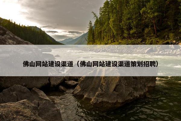 佛山网站建设渠道（佛山网站建设渠道策划招聘）