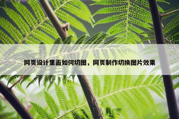 网页设计里面如何切图，网页制作切换图片效果
