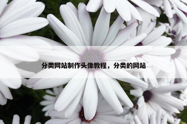 分类网站制作头像教程，分类的网站