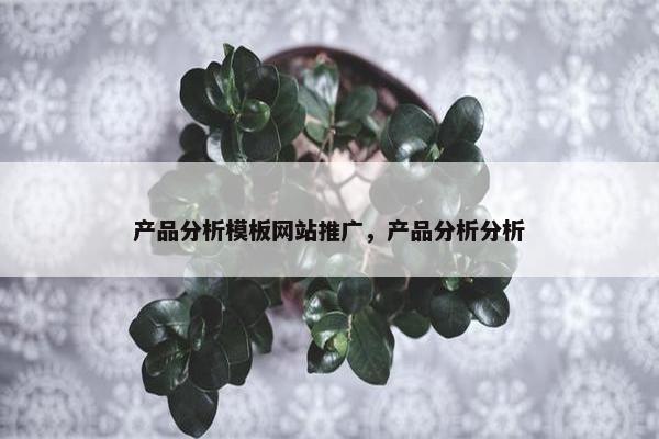 产品分析模板网站推广，产品分析分析