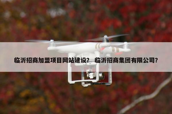 临沂招商加盟项目网站建设？ 临沂招商集团有限公司？