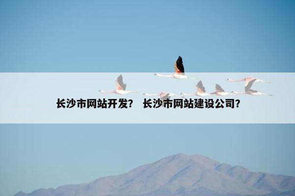 长沙市网站开发？ 长沙市网站建设公司？