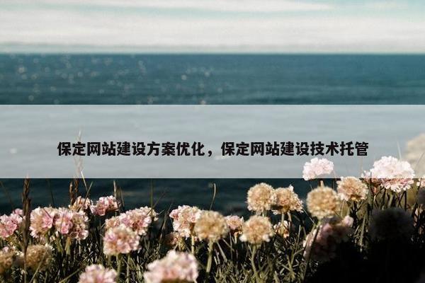 保定网站建设方案优化，保定网站建设技术托管