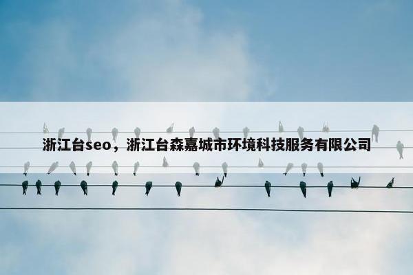 浙江台seo，浙江台森嘉城市环境科技服务有限公司