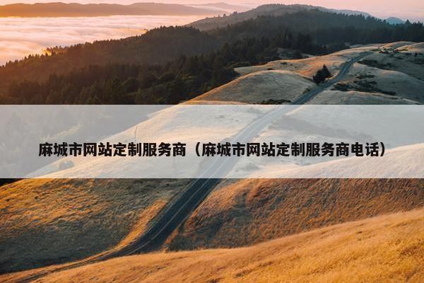 麻城市网站定制服务商（麻城市网站定制服务商电话）