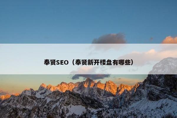 奉贤SEO（奉贤新开楼盘有哪些）