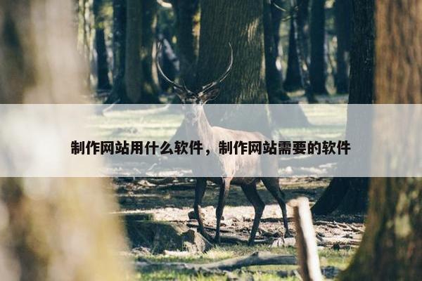 制作网站用什么软件，制作网站需要的软件