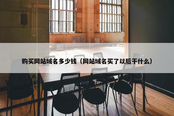 购买网站域名多少钱（网站域名买了以后干什么）