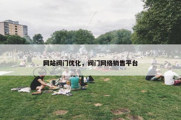 网站阀门优化，阀门网络销售平台