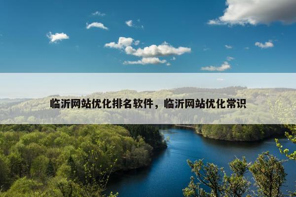 临沂网站优化排名软件，临沂网站优化常识