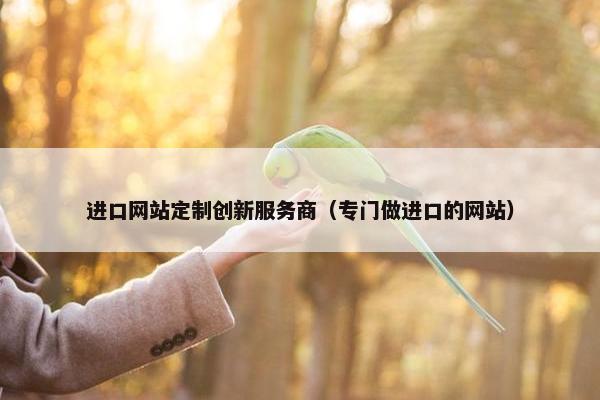 进口网站定制创新服务商（专门做进口的网站）