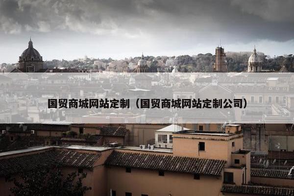 国贸商城网站定制（国贸商城网站定制公司）