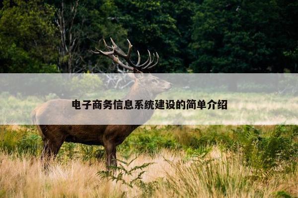 电子商务信息系统建设的简单介绍
