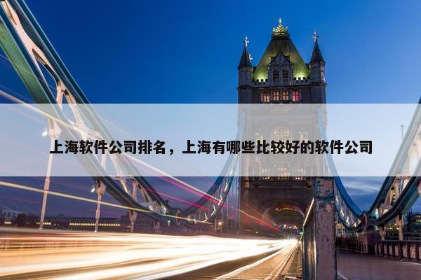 上海软件公司排名，上海有哪些比较好的软件公司