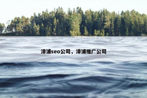漳浦seo公司，漳浦推广公司