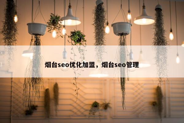 烟台seo优化加盟，烟台seo管理