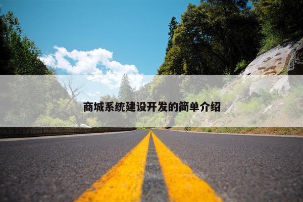 商城系统建设开发的简单介绍