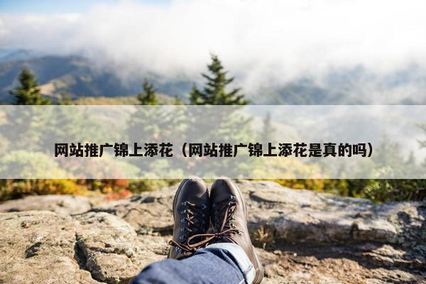 网站推广锦上添花（网站推广锦上添花是真的吗）