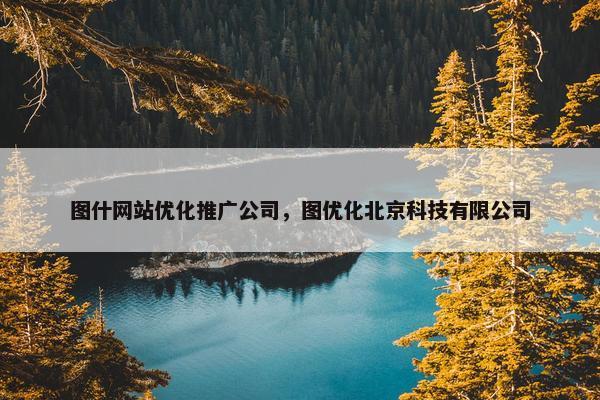 图什网站优化推广公司，图优化北京科技有限公司