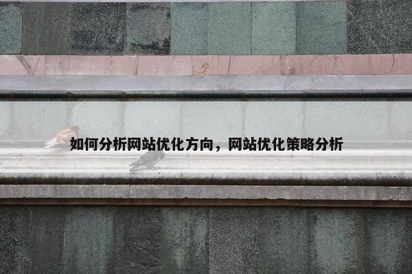如何分析网站优化方向，网站优化策略分析