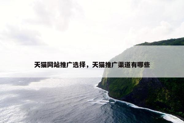 天猫网站推广选择，天猫推广渠道有哪些