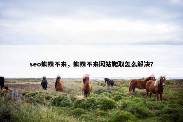seo蜘蛛不来，蜘蛛不来网站爬取怎么解决?