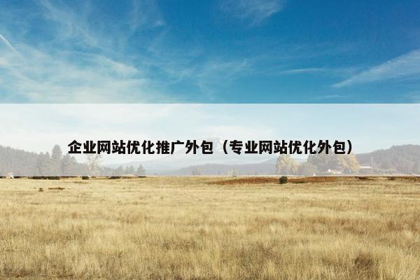 企业网站优化推广外包（专业网站优化外包）