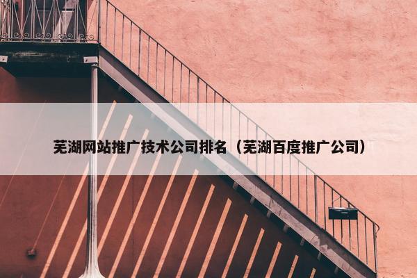 芜湖网站推广技术公司排名（芜湖百度推广公司）