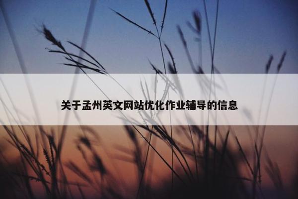 关于孟州英文网站优化作业辅导的信息