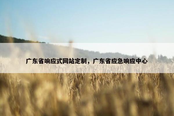广东省响应式网站定制，广东省应急响应中心